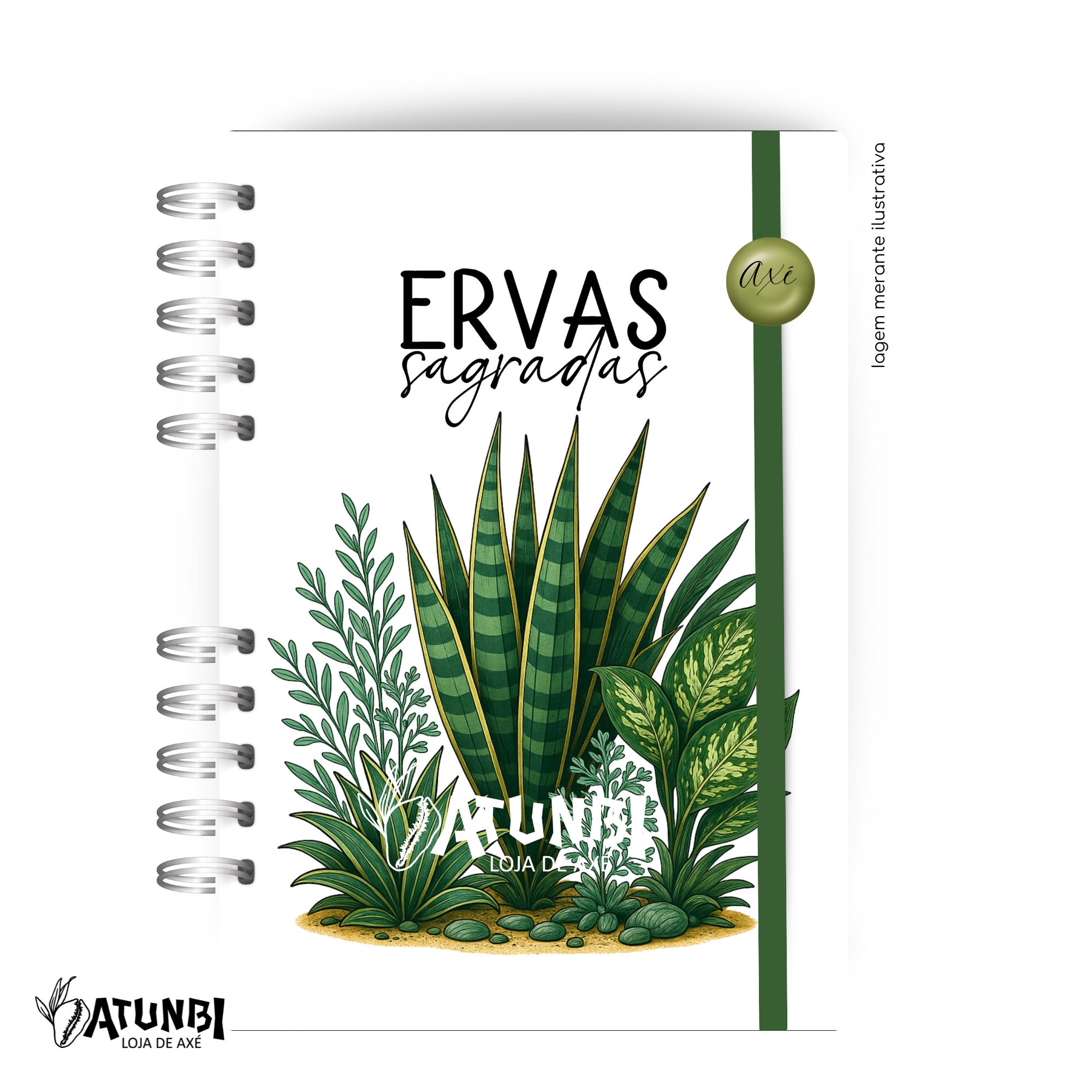 Ervas