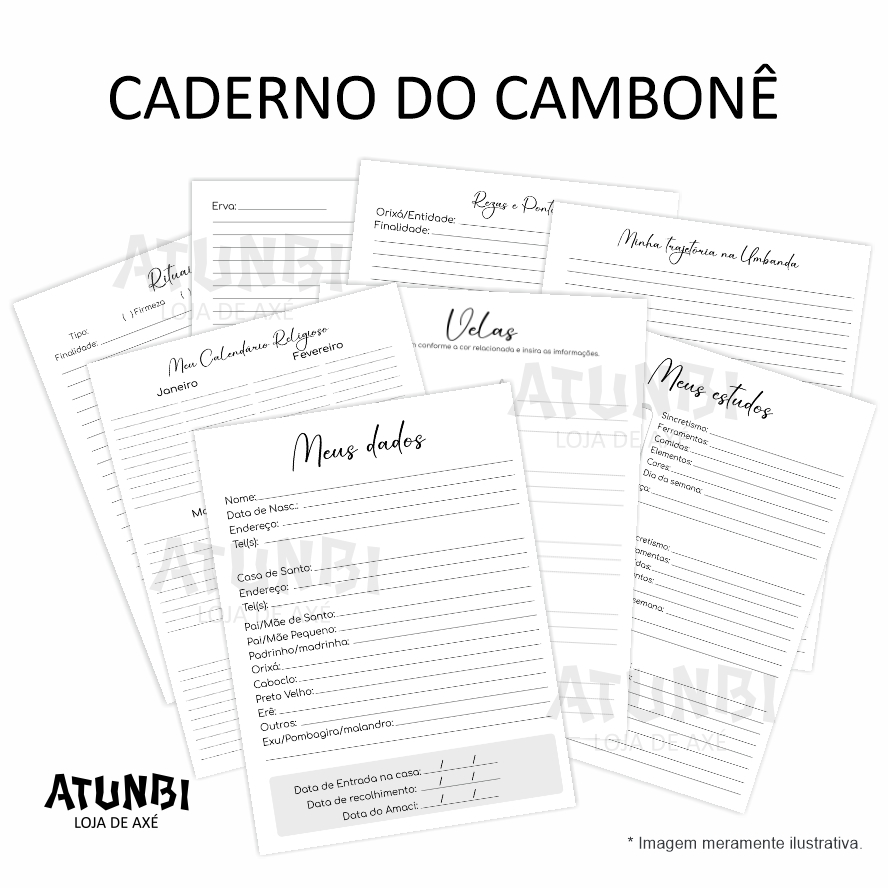 Cambone1